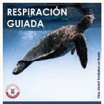 Respiración guiada